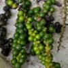 praswin-prakashan-07mSvSqbij4-unsplash Black Pepper